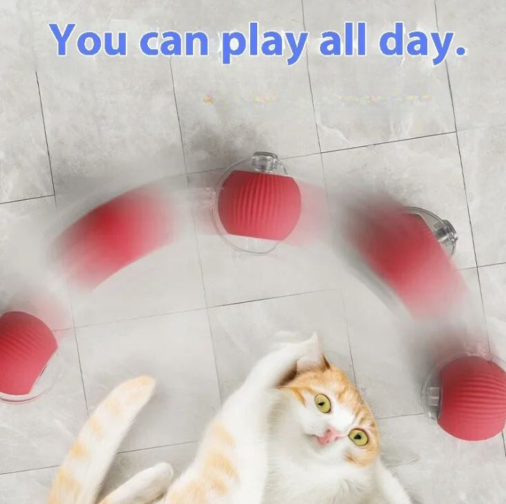 ZoomPaw™ Smart Interactive Pet Ball