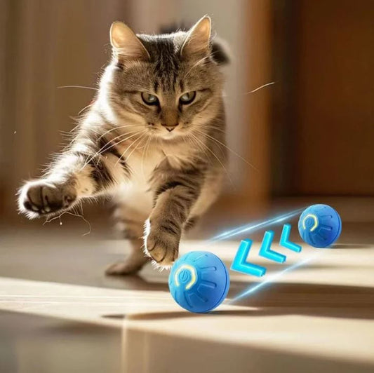 ZoomPaw™ Smart Interactive Pet Ball