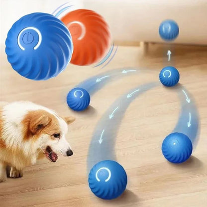 ZoomPaw™ Smart Interactive Pet Ball